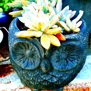 Preloved|Vintage|New|Old Clothing, homewares & collectables